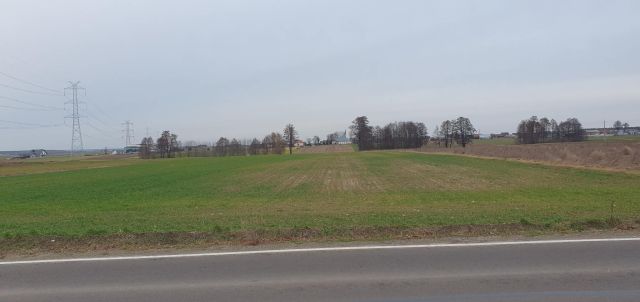 Działka budowlana Wierzbno, ul. Strażacka. Zdjęcie 1