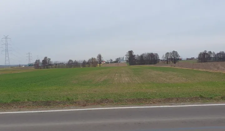 Działka budowlana Wierzbno, ul. Strażacka
