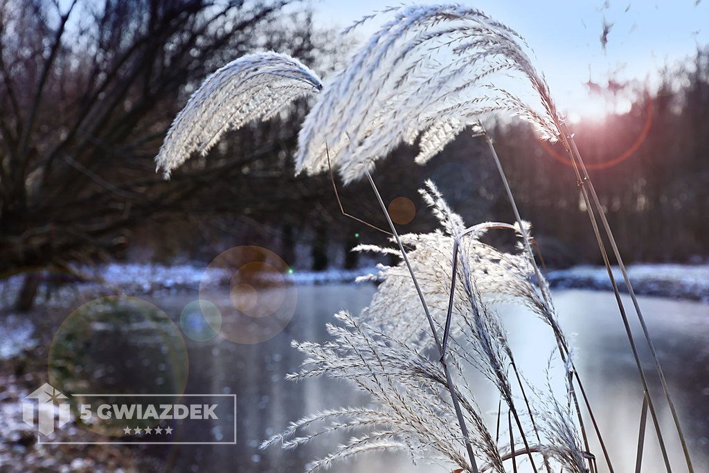 dom wolnostojący, 4 pokoje Bobolice. Zdjęcie 15