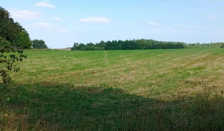 Działka rolno-budowlana Cewice, ul. Juliana Węgrzynowicza