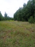 Działka inna Karolew. Zdjęcie 3