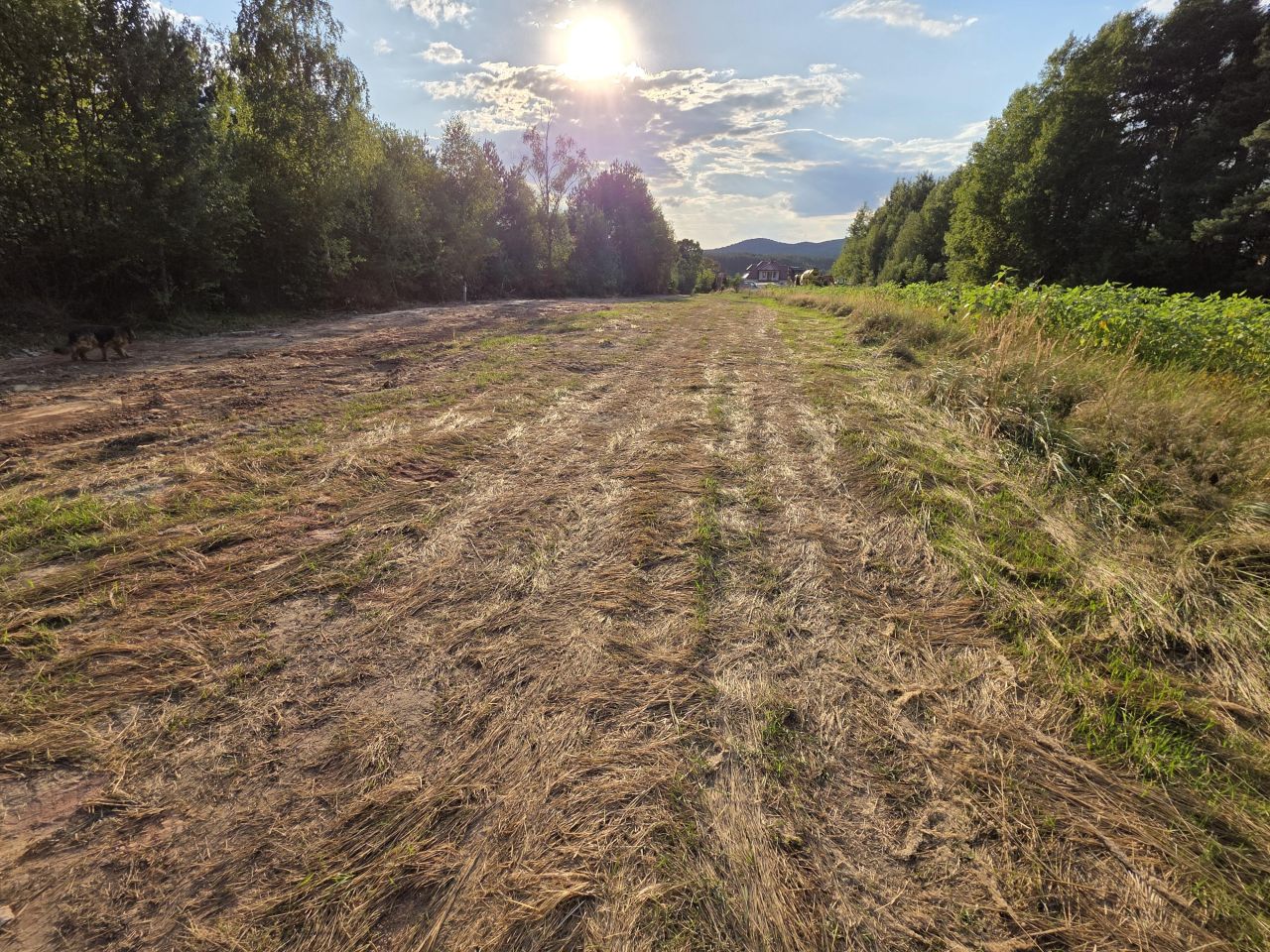 Działka inwestycyjna Suków Borki. Zdjęcie 7