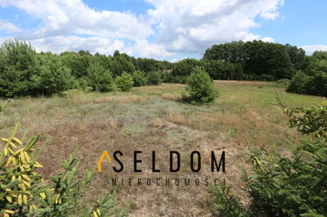Działka rekreacyjna Ostrowo. Zdjęcie 5