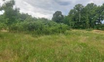 Działka rolna Borowiec. Zdjęcie 3