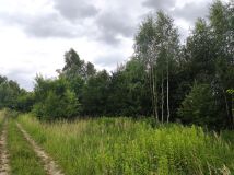 Działka rolna Kostarowce. Zdjęcie 3