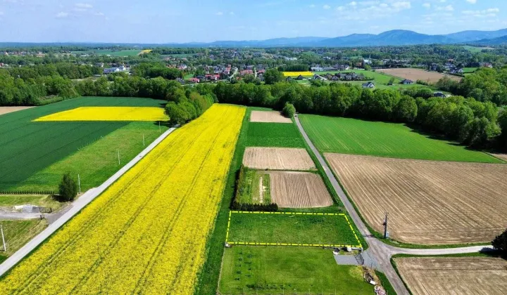 Działka budowlana Pisarzowice, ul. Bukowa