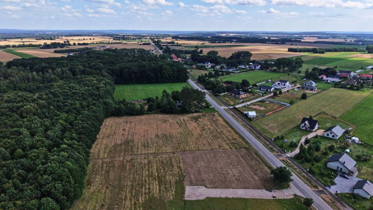 Działka rolno-budowlana Krępa Kaszubska. Zdjęcie 12