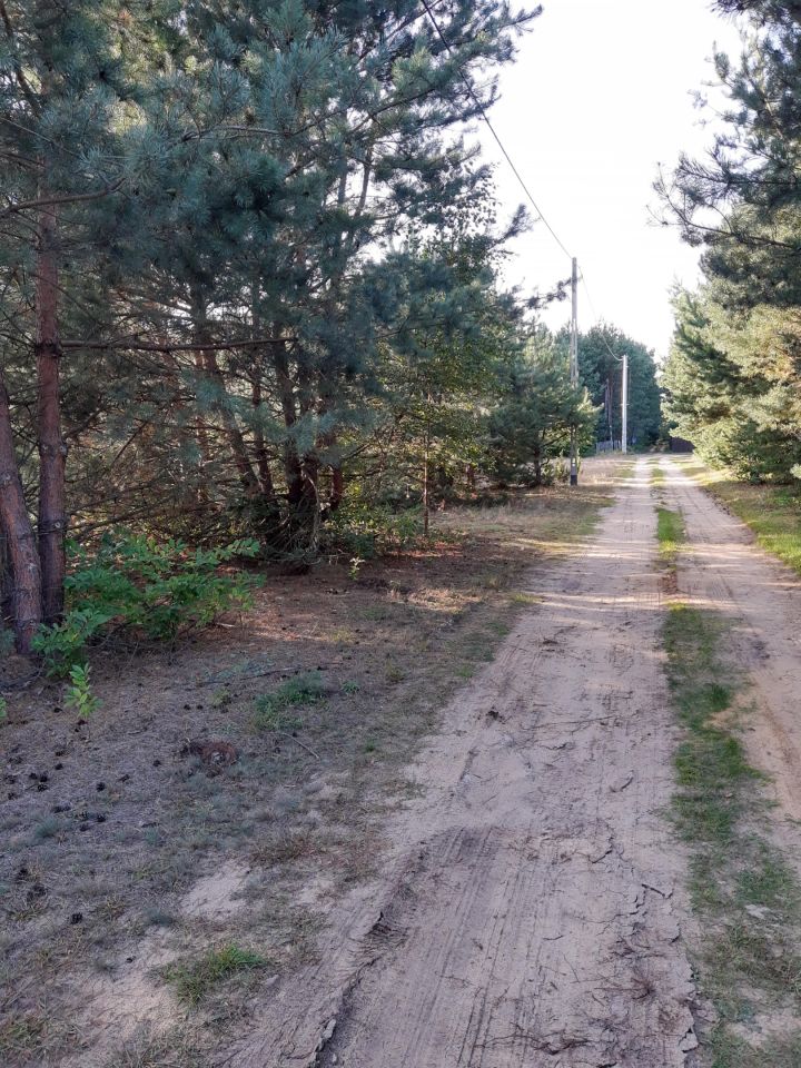 Działka rekreacyjna Zambski Kościelne. Zdjęcie 6