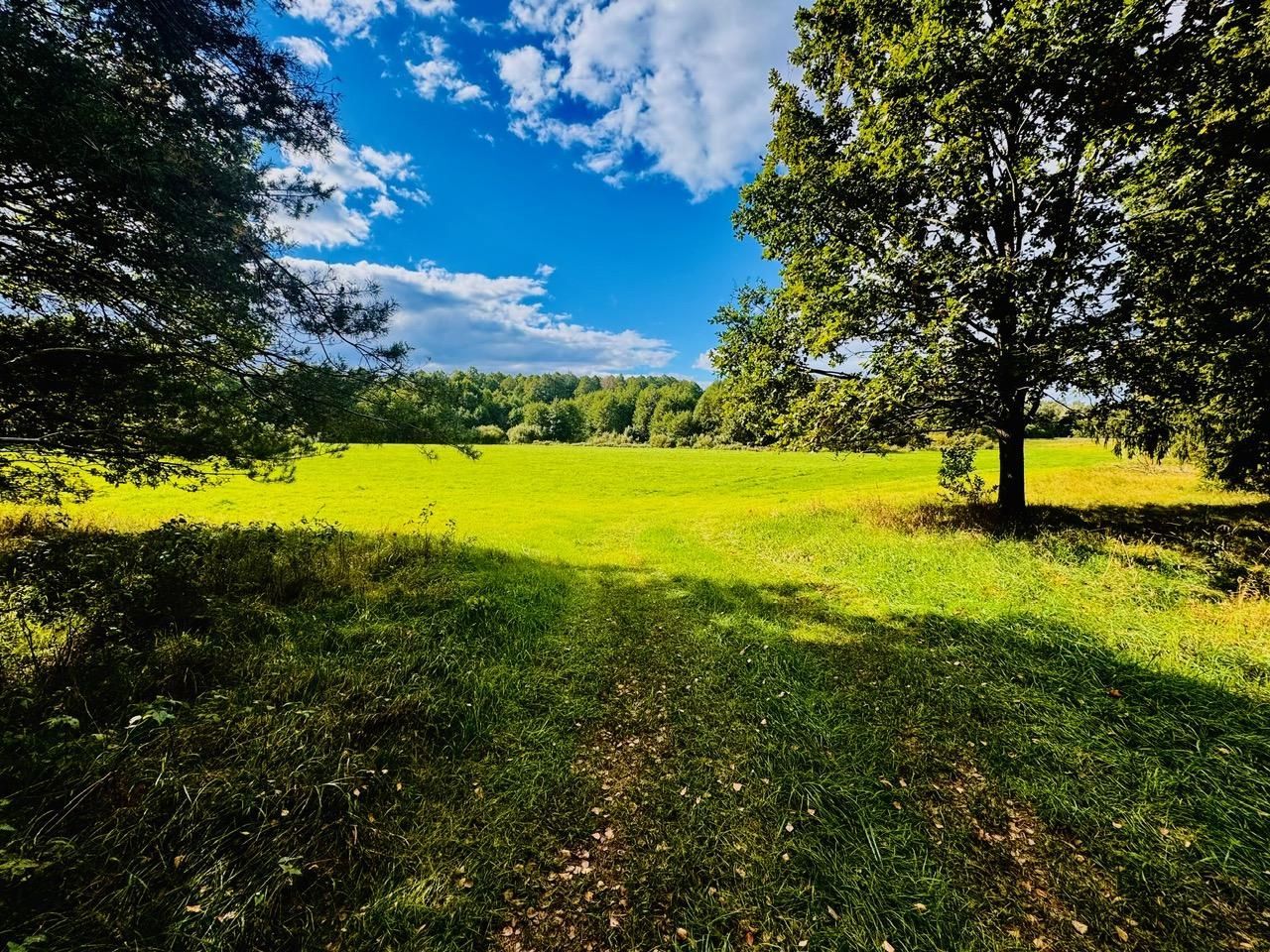 Działka rolna Nitki. Zdjęcie 14