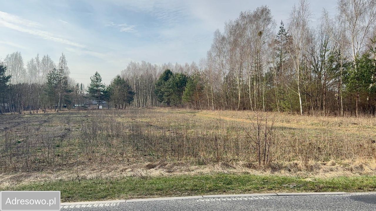 Działka budowlana Grzegorzewice, ul. Tarczyńska. Zdjęcie 1