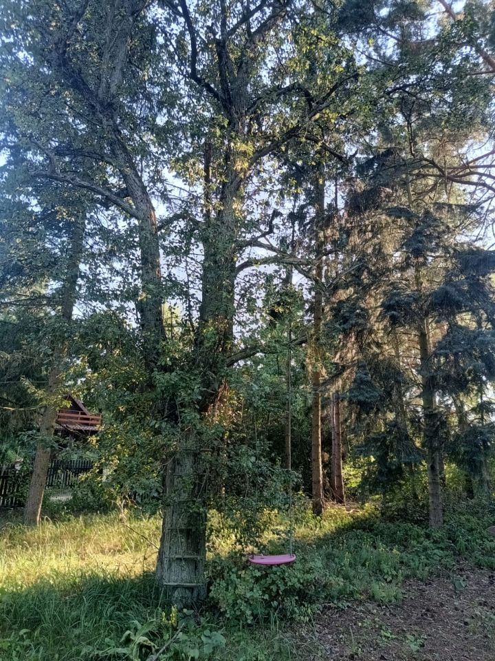 dom wolnostojący, 5 pokoi Łacha, ul. Ogrodowa. Zdjęcie 13