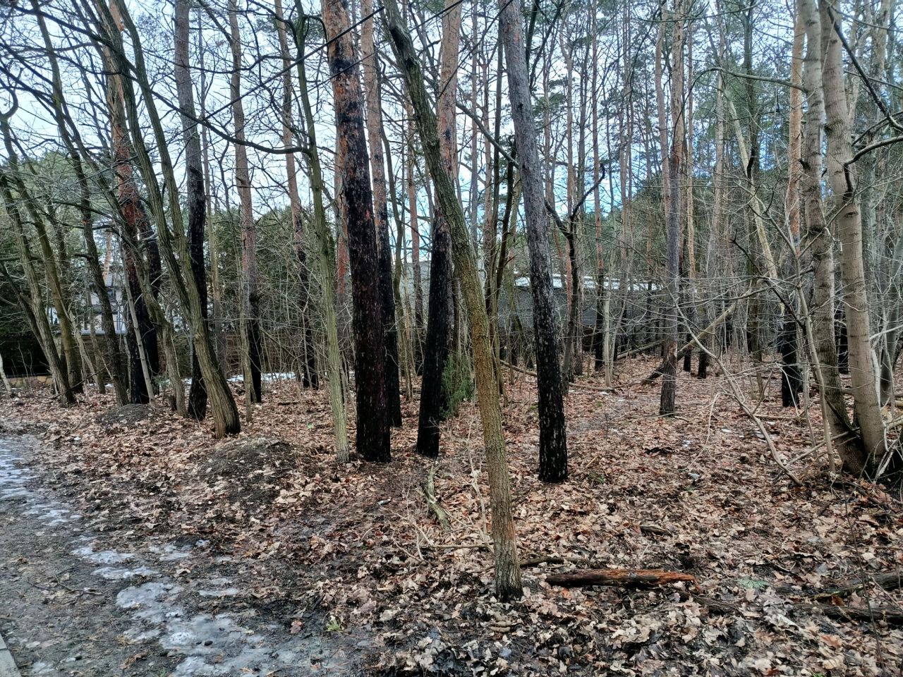 Działka leśna Legionowo, ul. Aleja Legionów. Zdjęcie 5