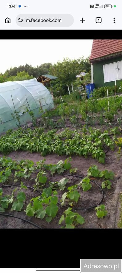 Działka rod Opole. Zdjęcie 4