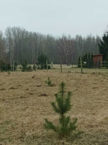 Działka rekreacyjna Marianowo. Zdjęcie 1