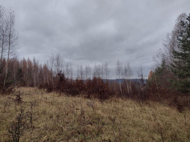 Działka leśna Średnia Wieś. Zdjęcie 1