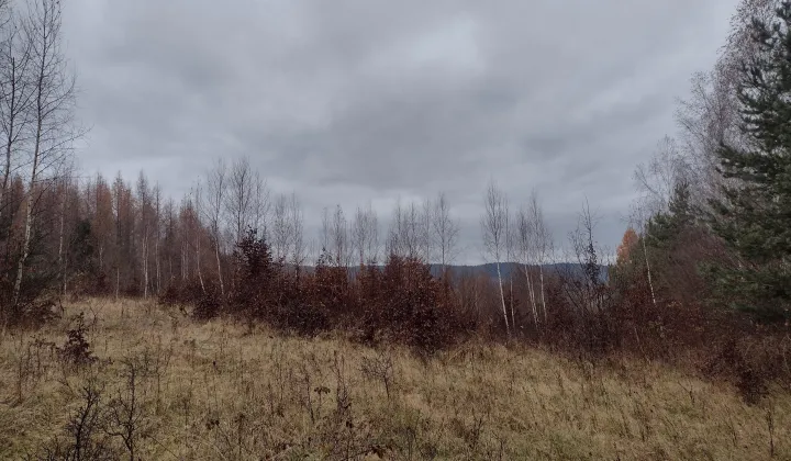 Działka leśna Średnia Wieś