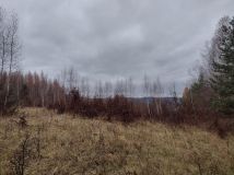 Działka leśna Średnia Wieś