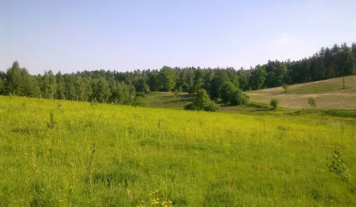 Działka rolna Kochanówka