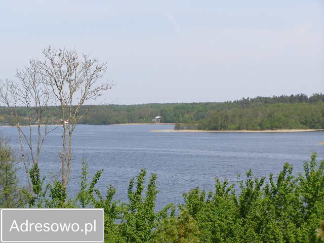 Działka rekreacyjna Stary Gieląd. Zdjęcie 6