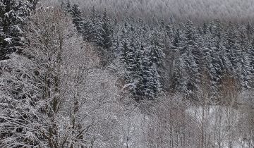 Działka rolno-budowlana Łężyce, Łężyce 86