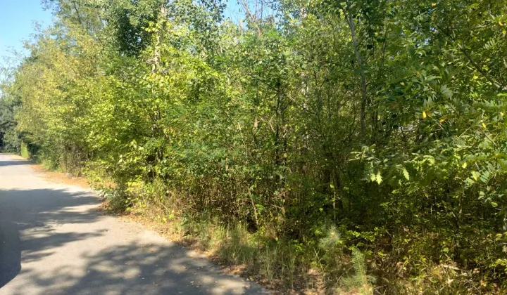 Działka rolno-budowlana Radom Wincentów