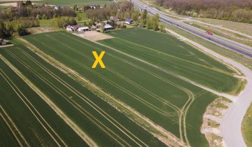 Działka budowlana Niedrzwica Duża Niedrzwica Duża Pierwsza, ul. Krzywa