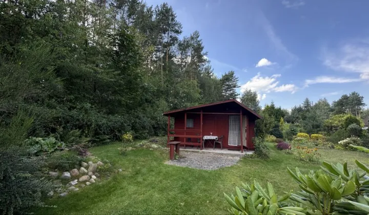 Działka rod Tuszyn Tuszyn-Las