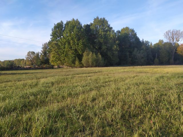 Działka budowlana Kamionka Ostrów, ul. Leśna. Zdjęcie 1