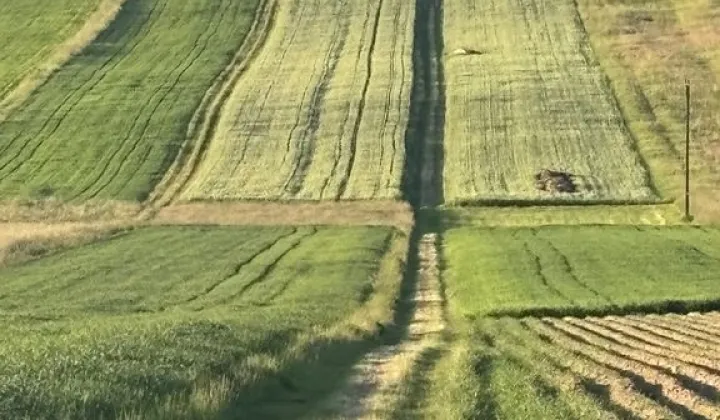 Działka budowlana Radlin