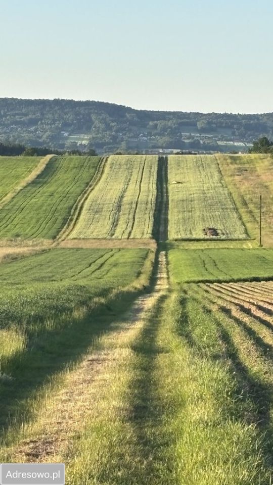 Działka budowlana Radlin. Zdjęcie 1