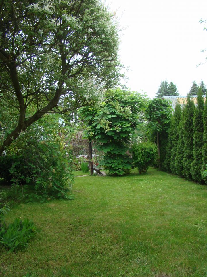 Działka rekreacyjna Czarne Małe. Zdjęcie 41