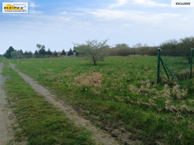 Działka rolna Niechorze. Zdjęcie 7