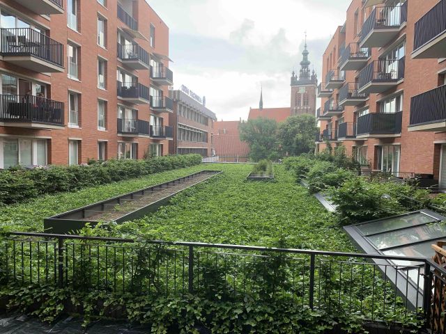 Mieszkanie 3-pokojowe Gdańsk Śródmieście, ul. Rajska. Zdjęcie 1