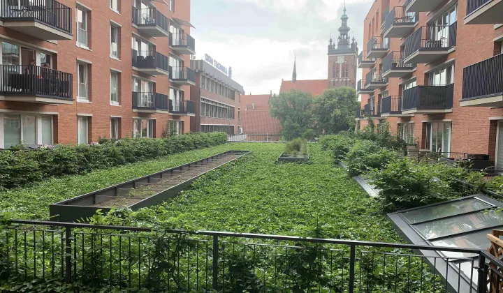 Mieszkanie 3-pokojowe Gdańsk Śródmieście, ul. Rajska