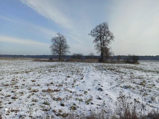 Działka siedliskowa Ostrówki. Zdjęcie 1