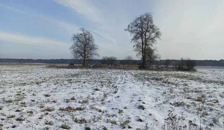 Działka siedliskowa Ostrówki