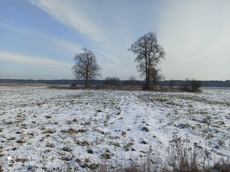 Działka siedliskowa Ostrówki