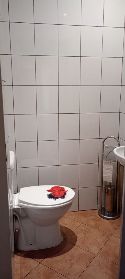 Mieszkanie 1-pokojowe Brzeszcze Nowa Kolonia, ul. Nowa Kolonia. Zdjęcie 8