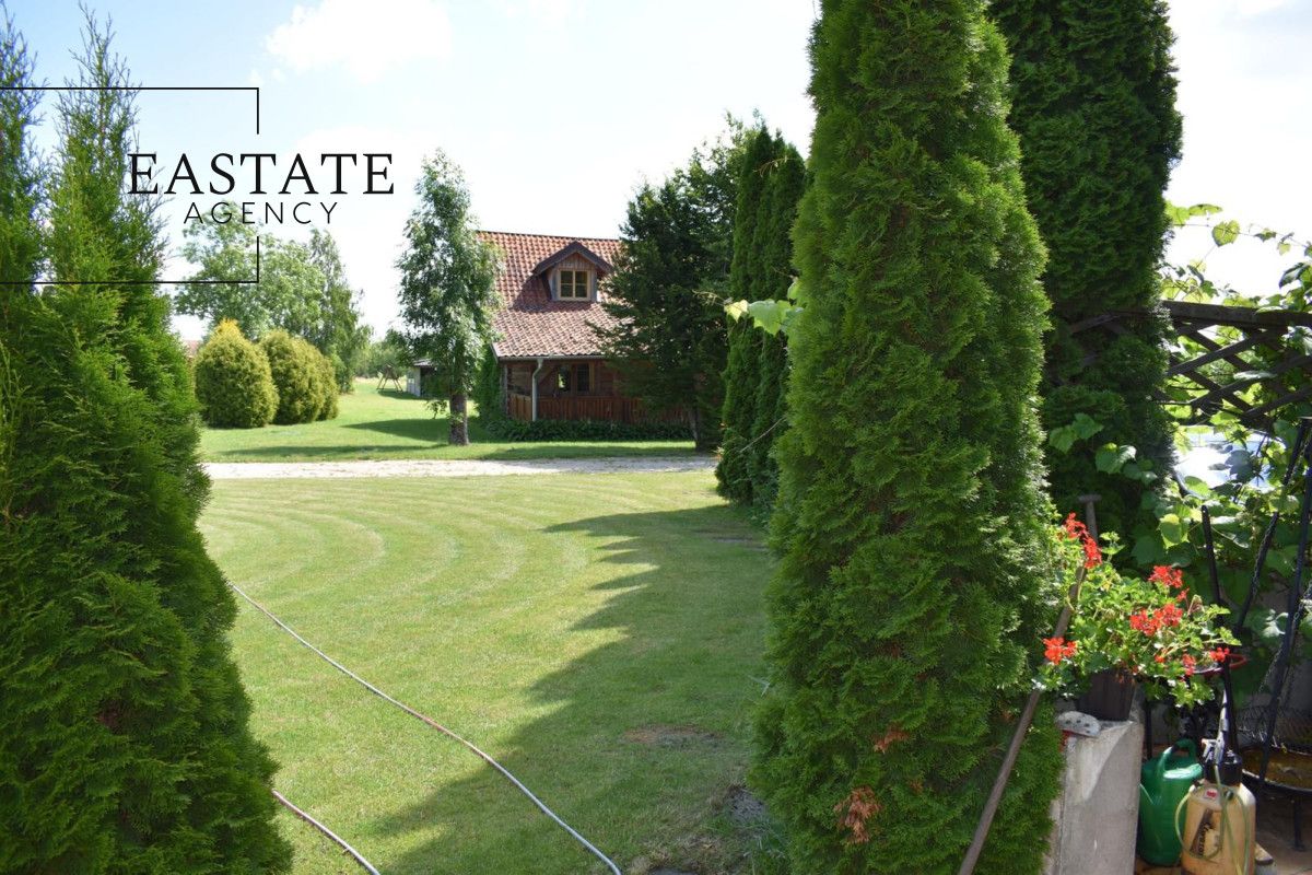 Lokal Dąbrowa. Zdjęcie 6