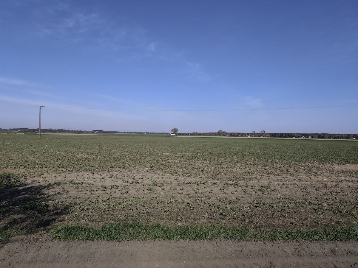 Działka rolna Jerzykowo. Zdjęcie 3