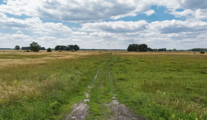 Działka rolna Głojsce