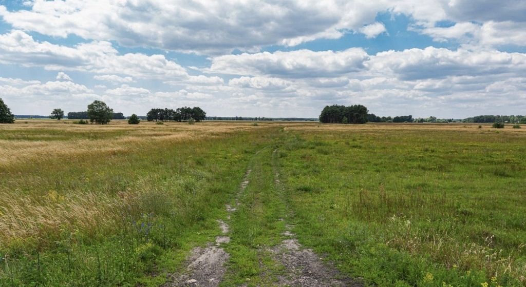 Działka rolna Głojsce. Zdjęcie 1