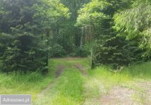 Działka budowlana Czempisz. Zdjęcie 3