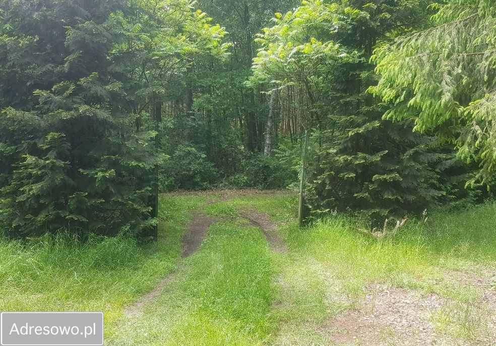 Działka budowlana Czempisz. Zdjęcie 4