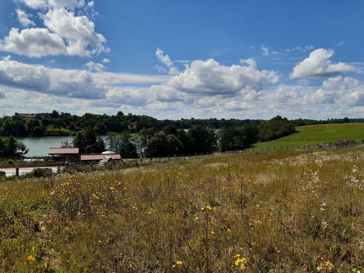 Działka rolno-budowlana Rogale. Zdjęcie 2