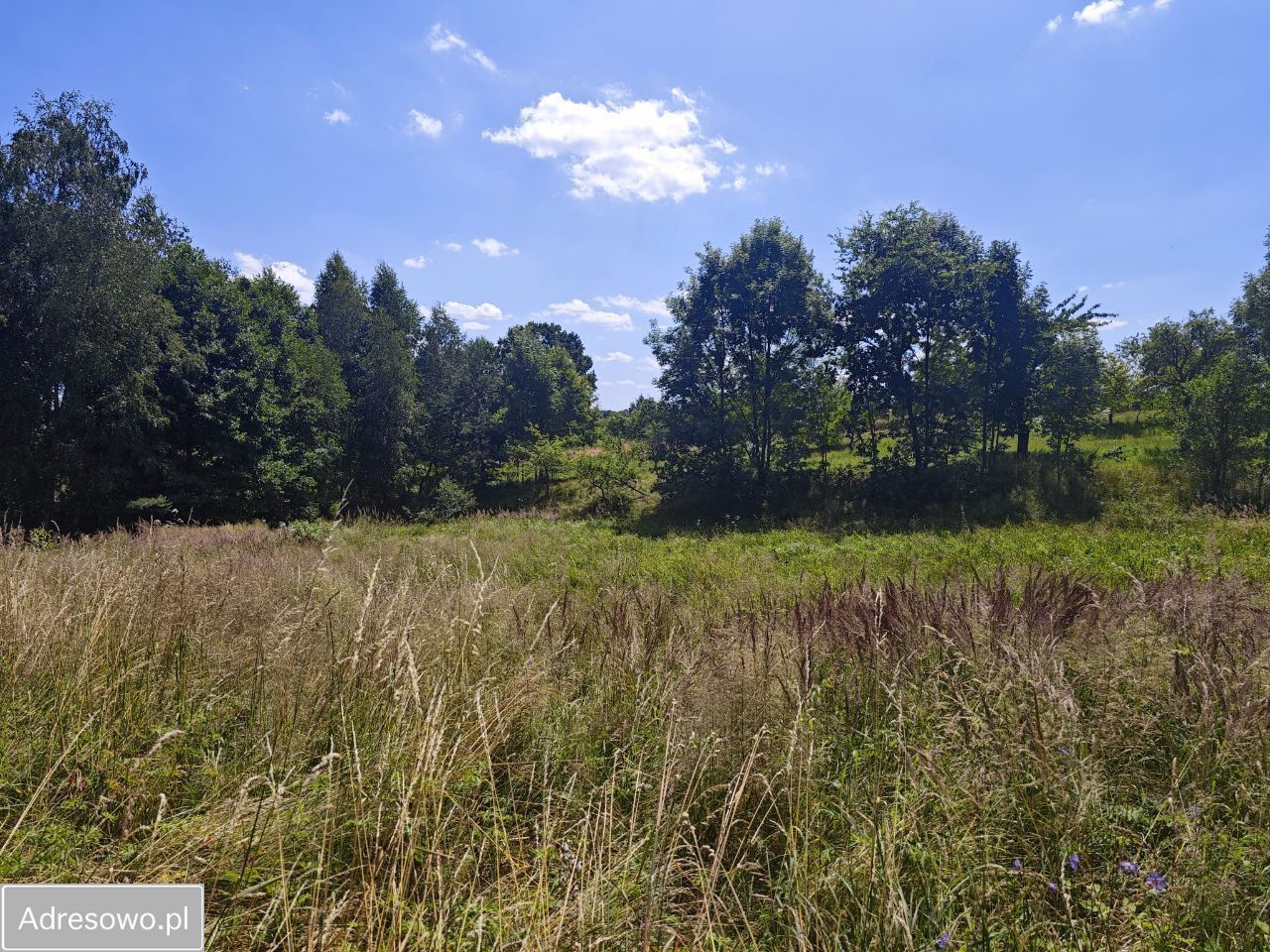Działka budowlana Rybna, ul. Polna