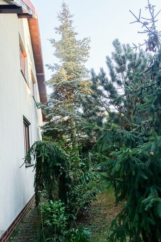 dom wolnostojący, 4 pokoje Szczecin Gumieńce, ul. Tyniecka. Zdjęcie 36