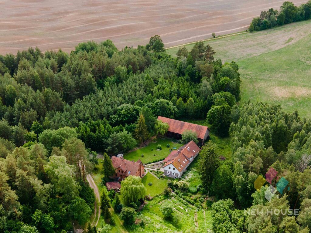 Hotel/pensjonat Waplewo. Zdjęcie 39