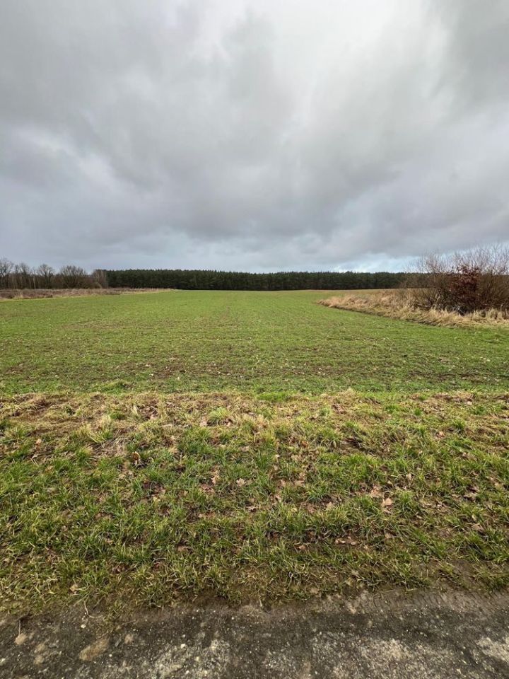 Działka budowlana Bielkowo. Zdjęcie 8