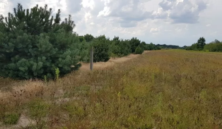 Działka rolna Kałuszyn